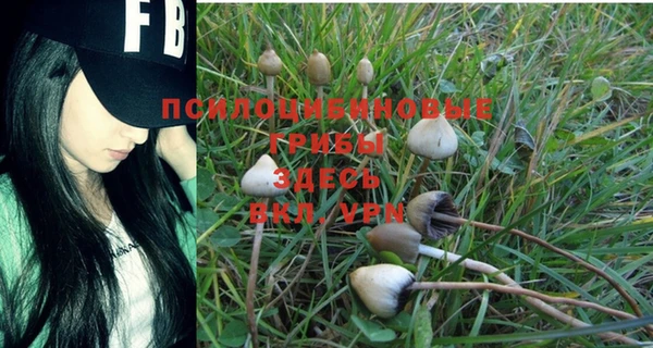 гашиш Козельск