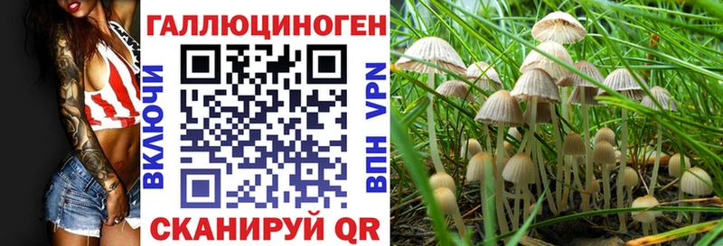 Купить где  Орехово-Зуево  Галлюциногенные грибы Psilocybine cubensis 